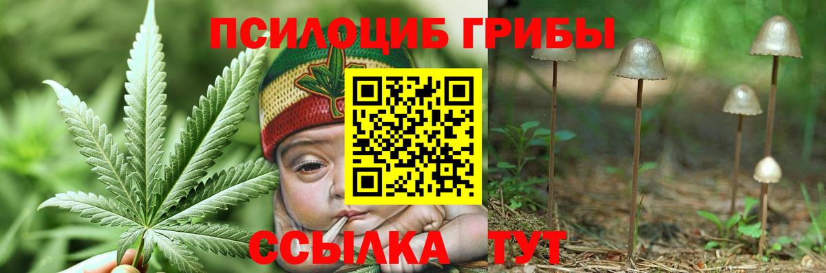 Галлюциногенные грибы Cubensis Бирск